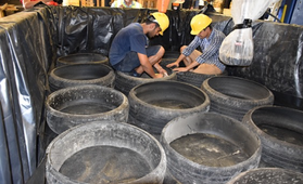 Men inspecting recycled tires